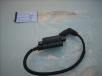 Aprilia RSV Tuono Racing 1000R mille Factory 2004 ok 03/05 bobine d'allumage, dr