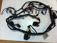 Honda DEAUVILLE  NT700VA NTV700 faisceau principal, HARNESS electrical cable,Kab