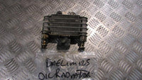 Daelim 125 Roadwin 2005 radiateur refroidisseur d'huile, ,OIL COOLER, radiator ,