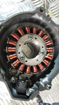 Yamaha Fazer FZS 600 2002 RJ21 Alternateur carter, Bobine Alternator avec capteu