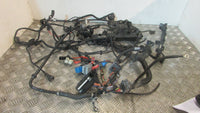 BMW 330d M57 D30 N2 E90 E91 E92 E60 E61 Complete Engine Wiring Loom Harness