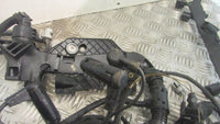 BMW 330d M57 D30 N2 E90 E91 E92 E60 E61 Complete Engine Wiring Loom Harness