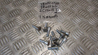 Triumph Trophy 900 T336 ,vis pour disque de frein avant , front disc studs screw