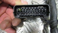 Honda CBF 600 SA  04,05,06,07 faisceau principal , Wiring HARNESS loom main elec