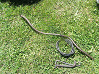 Honda CB 600 FA Hornet  ABS 2007 >2012, tube de l´eau, various pipes, Kühlerschl