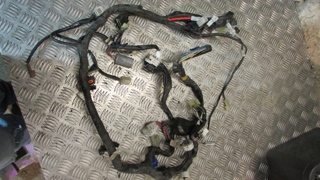 Yamaha TDM 900 faisceau principal avec CDI conection,Wiring HARNESS loom main el