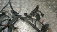 Yamaha FJR 1300 ABS 2006>2012 faisceau principal avec CDI conection,Wiring HARNE