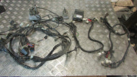 Yamaha FJR 1300 ABS 2006>2012 Faisceaux de câblage spécifiés par la police; redr