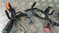 KAWASAKI Z750R, ZR750NBF,2011(OK 08/17),faisceau principal ,,Wiring HARNESS loom