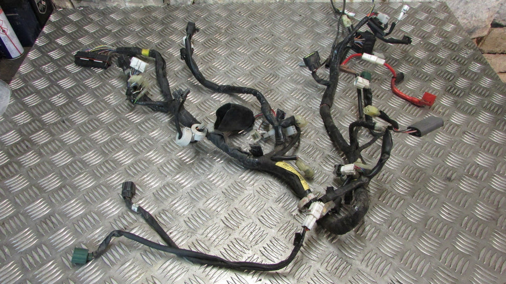 Yamaha TDM 900 faisceau principal ,,Wiring HARNESS loom main electrical cable, ,