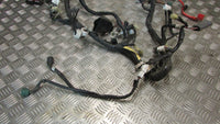 Yamaha TDM 900 faisceau principal ,,Wiring HARNESS loom main electrical cable, ,