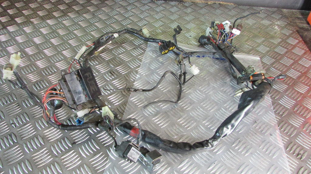 Yamaha Fazer FZS 600 2000 (1998/2003) RJ021 faisceau principal ,avex boite fusei