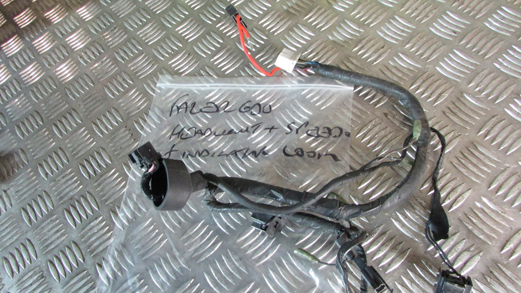 Yamaha Fazer FZS 600 2000 (1998/2003) RJ021 Faisceau inclus phare et compteur co