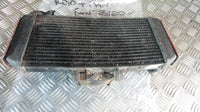 Yamaha Fazer FZS 600 2000 (1998/2003) RJ021 radiateur a eau et ventilateur,RADIA
