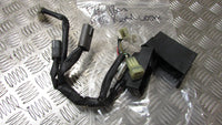 Yamaha FJR 1300 ABS 2008, 2006>2012 Faisceau ,Wiring Harness Loom Rear ABS wirin
