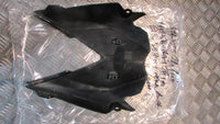 Triumph Street Triple 675 2014 Habillages carrenage carrosserie carénage pres de
