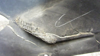 Suzuki GSX 1100 F GV72 C 88/94 Tête de fourche droite ,carénage en haut ,top fai