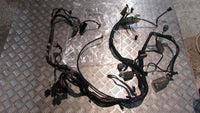 Honda Pan European ST 1300, Faisceau ,Wiring Harness Loom,Kabelbaum Elektrik,